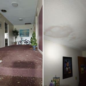 Mold Remesiation in Residential Property