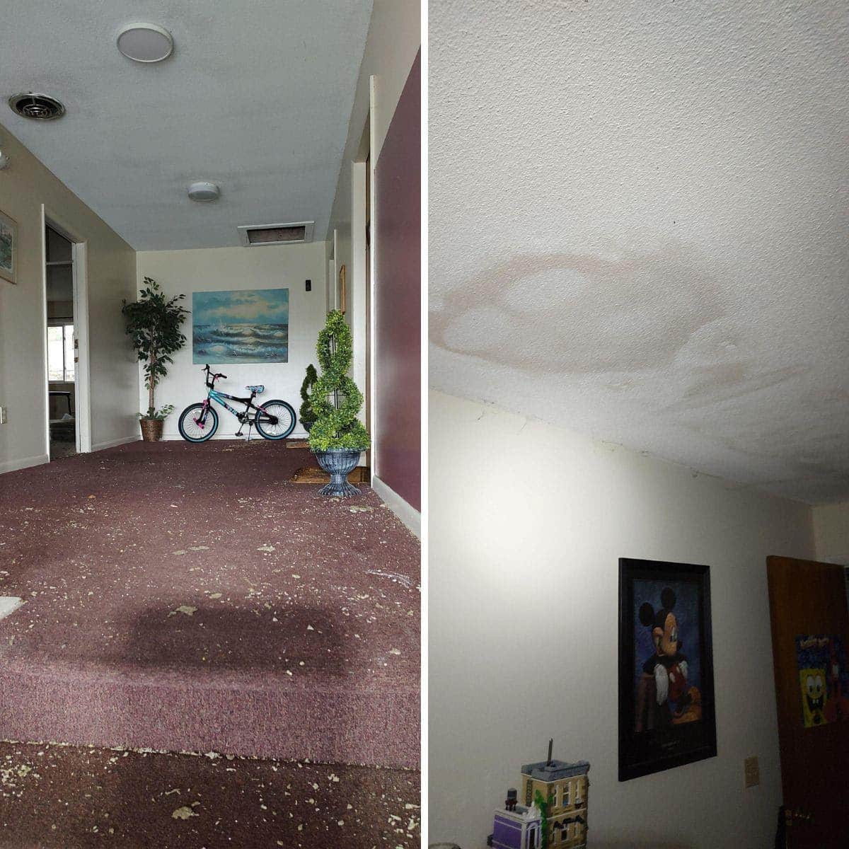 Mold Remesiation in Residential Property