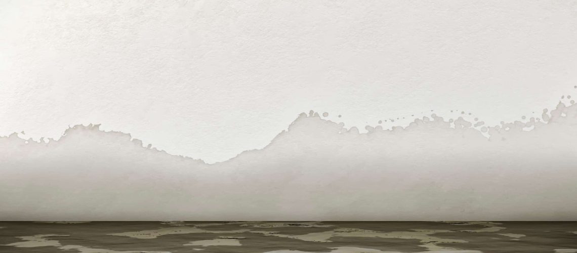 Water Damage Restoration - Rochester Restoration