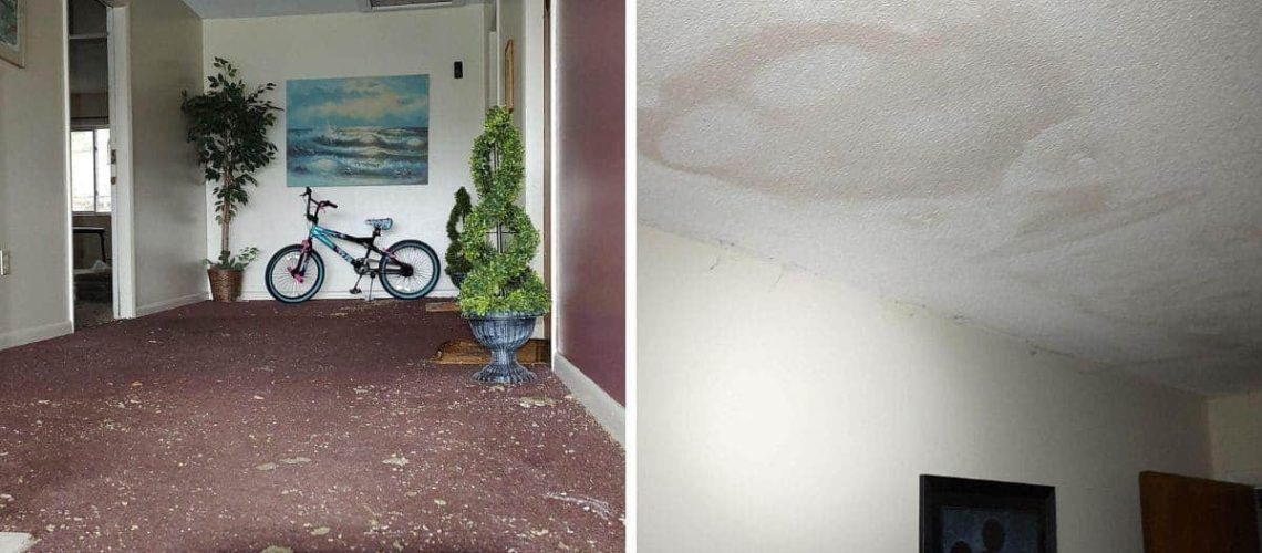 Mold Remesiation in Residential Property